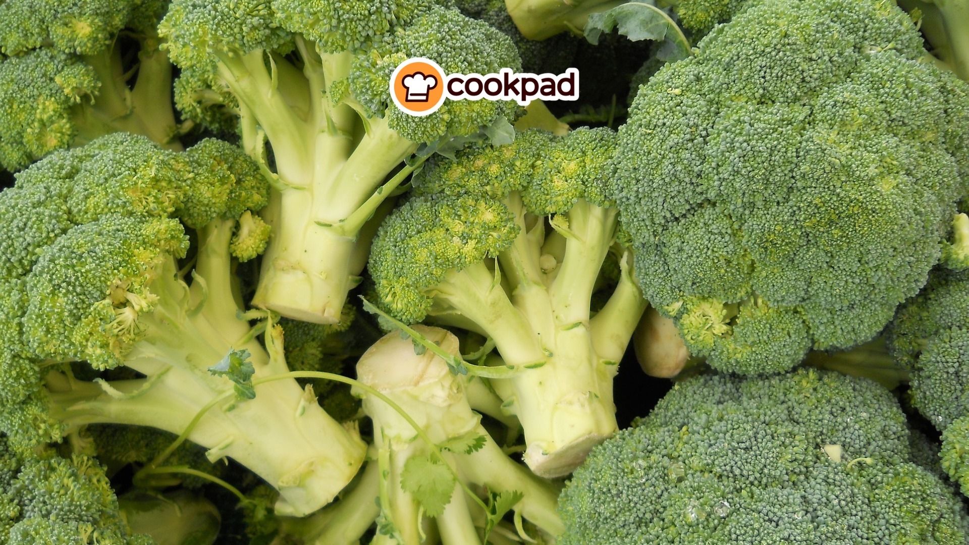 El Brócoli ¡Enterate de todos los beneficios y recetas fáciles para prepararlo!