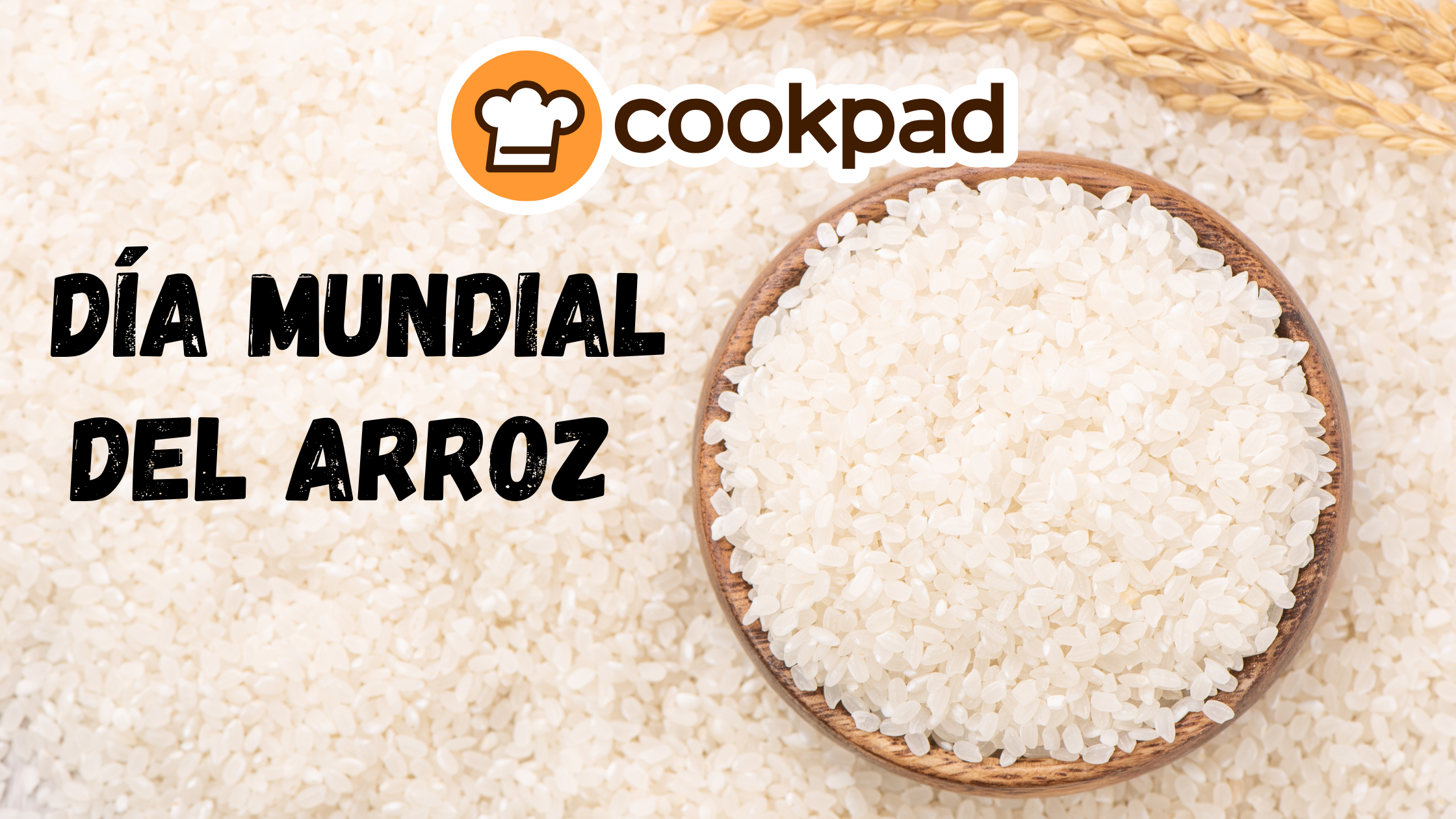 Día Mundial del Arroz 🍚 Guía Completa