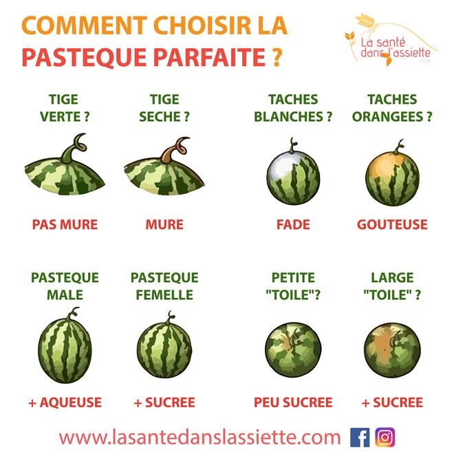 🍉 Comment choisir, cuisiner et aimer la pastèque (sans se louper)