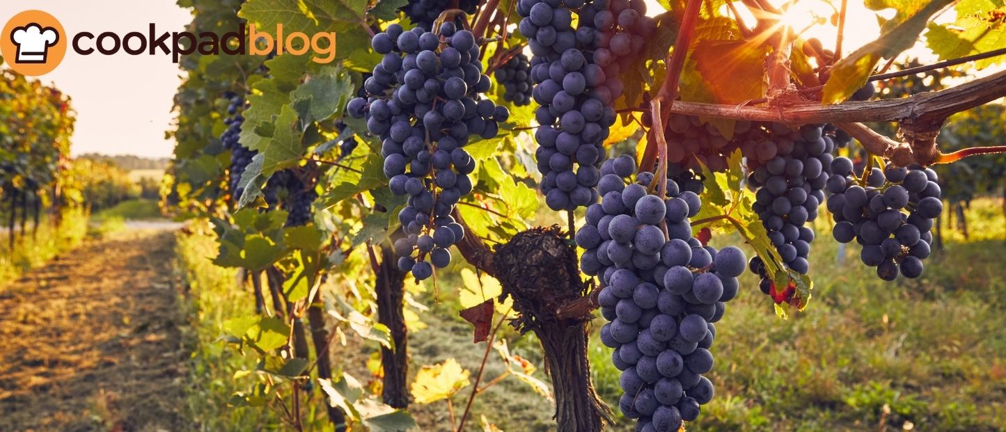 Raisin : saison, bienfaits et recettes gourmandes