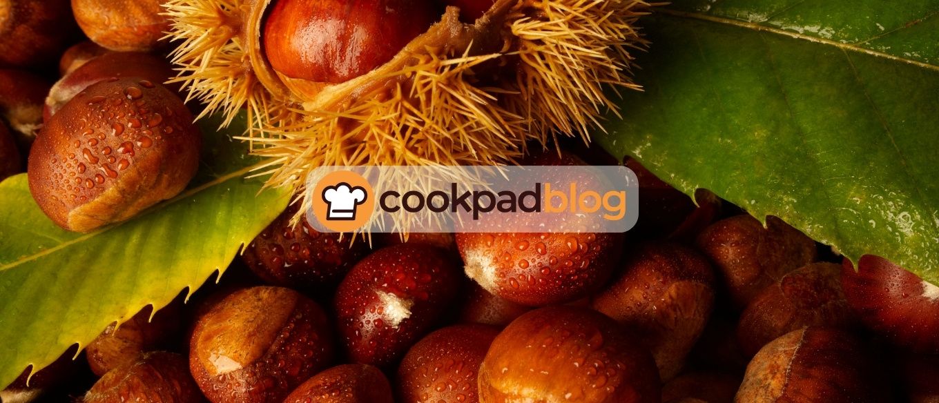 🌰 Tout savoir sur les châtaignes : préparation, cuisson et idées recettes