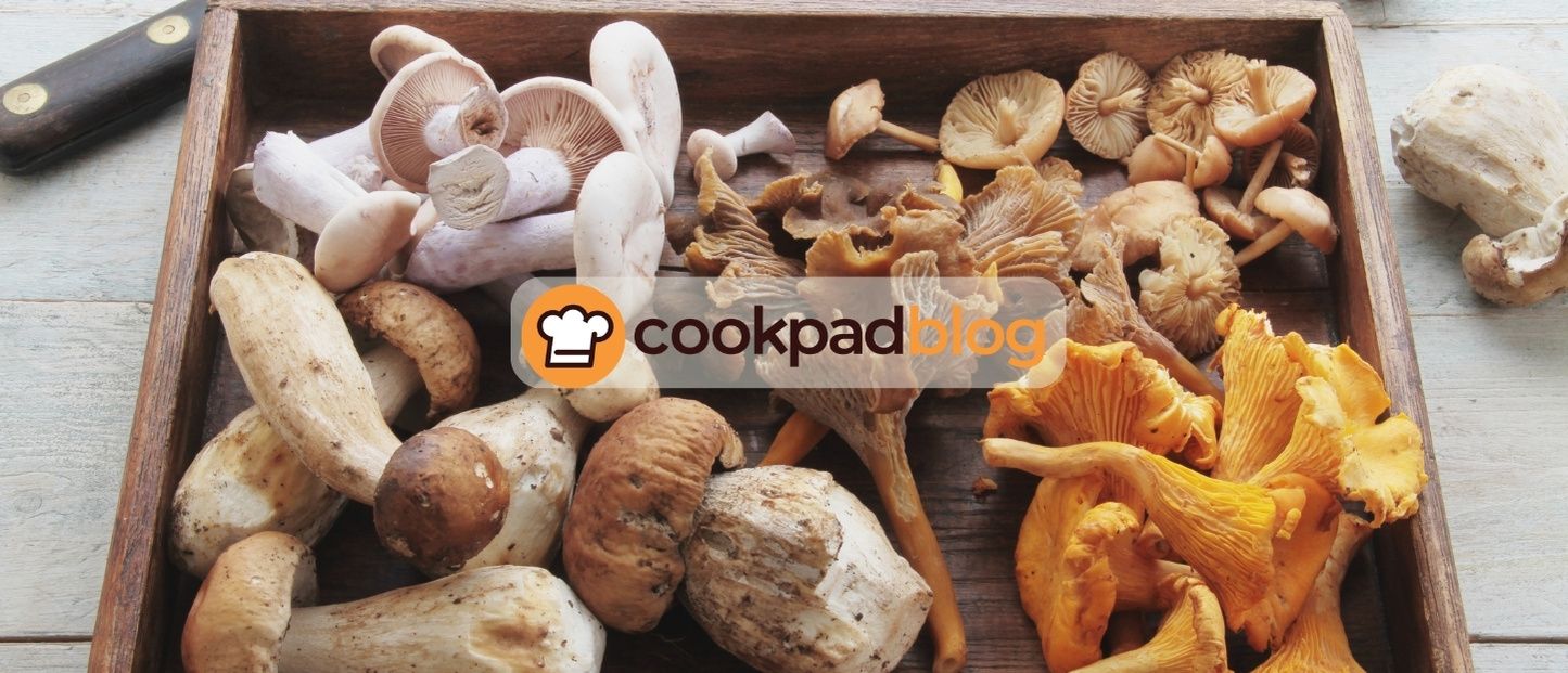 Comment cuisiner les champignons frais ? Conseils, astuces et recettes simples 🍄