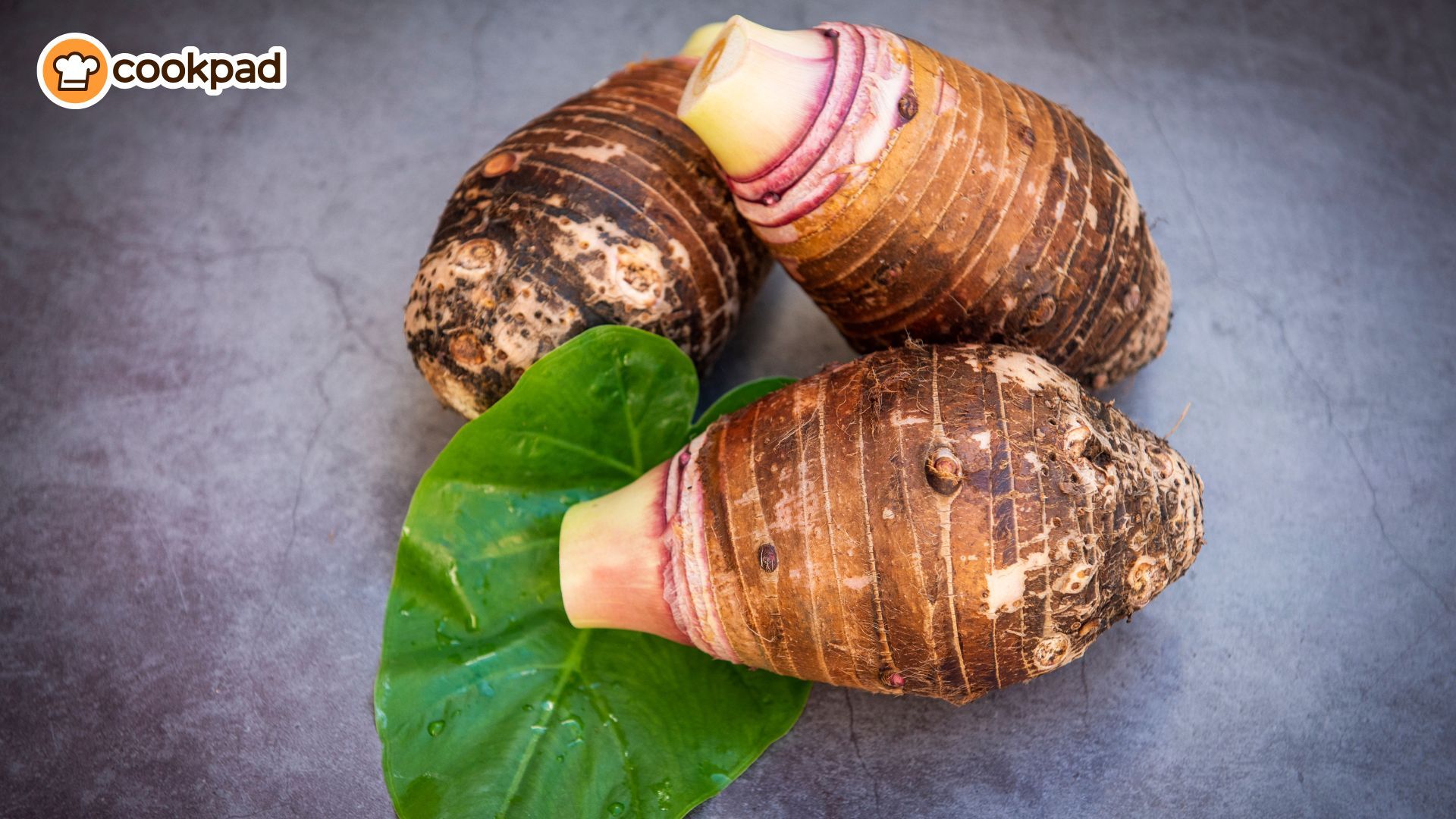 Menyingkap Rahasia Talas, Bahan Pangan Khas Asia Tenggara