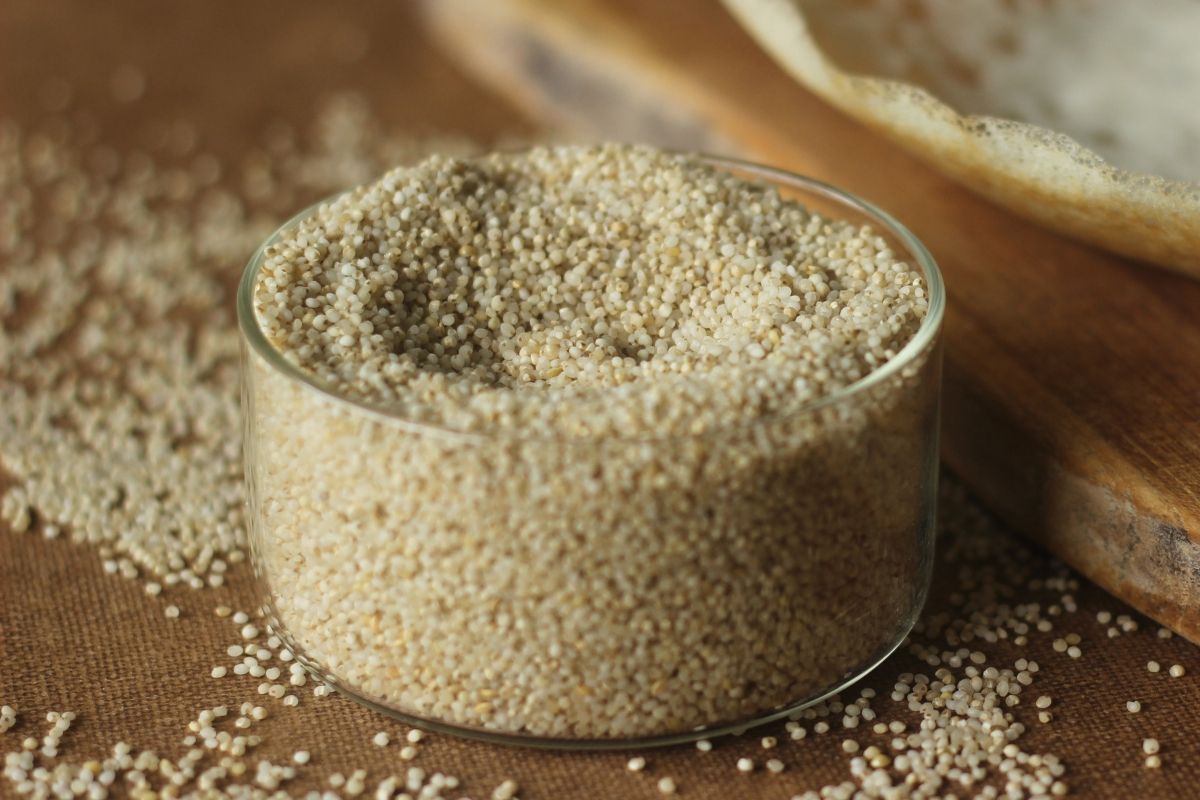Samak Rice Made Easy & Why It’s Perfect (Especially During Vrat)