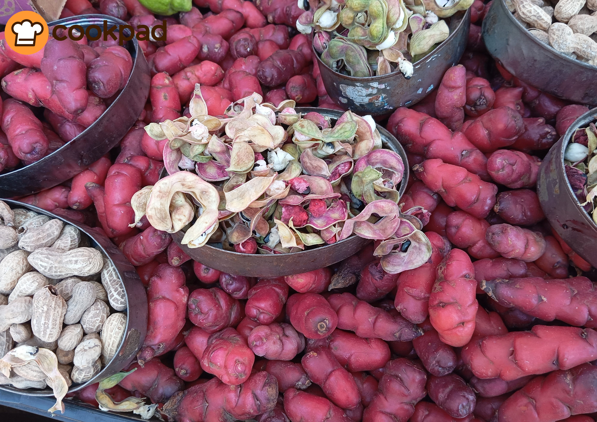 सर्दियों में खाने लायक टॉप ट्यूबर्स (Winter Root Vegetables)