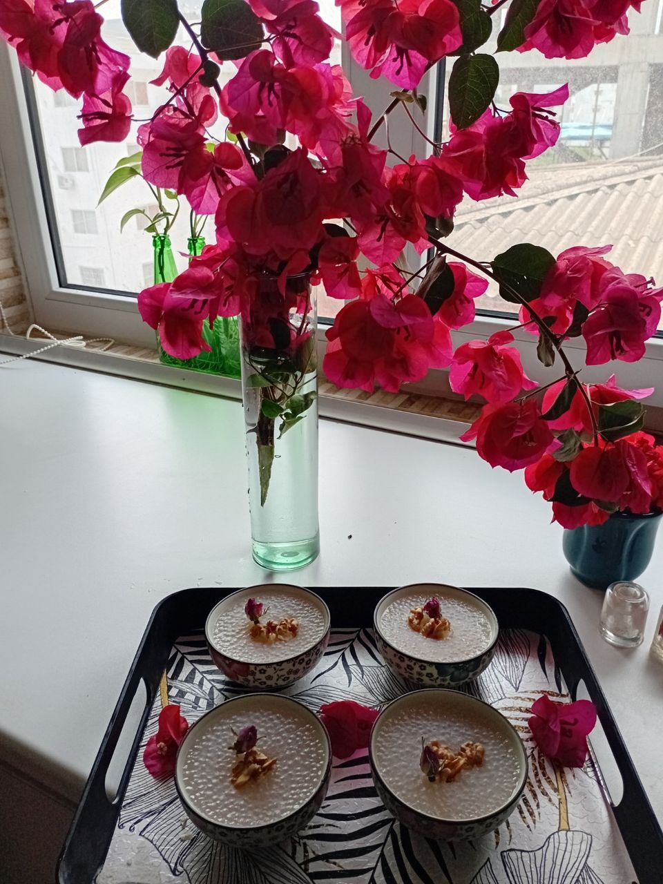 ساگو چیست و چه کاربردهایی دارد؟!