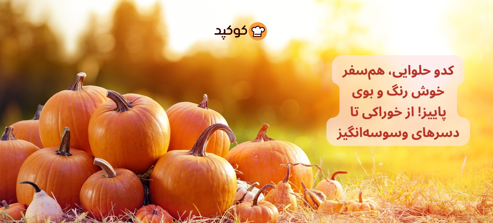 کدو حلوایی، هم‌سفر خوش‌ رنگ و بوی پاییز! از خوراکی تا دسرهای وسوسه‌انگیز
