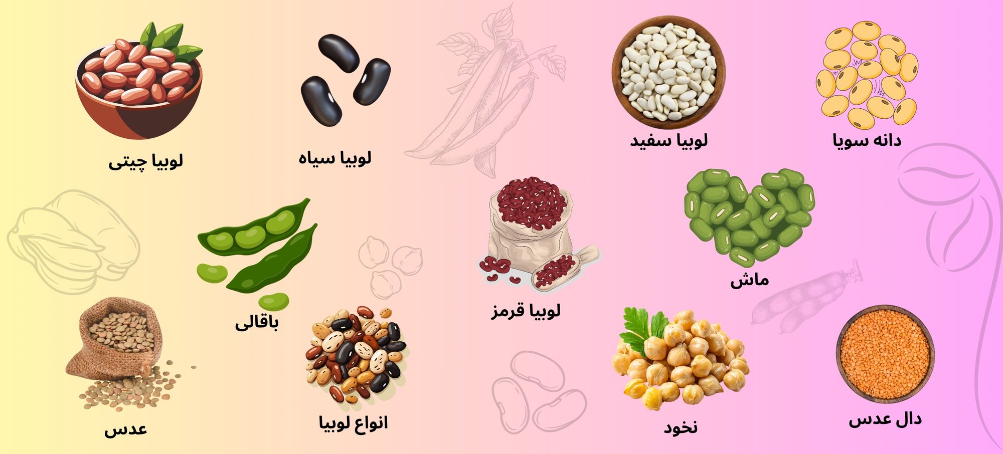 💚 راز سلامتی در بشقاب شما؛ خوراک‌های خوشمزه با حبوبات مقوی