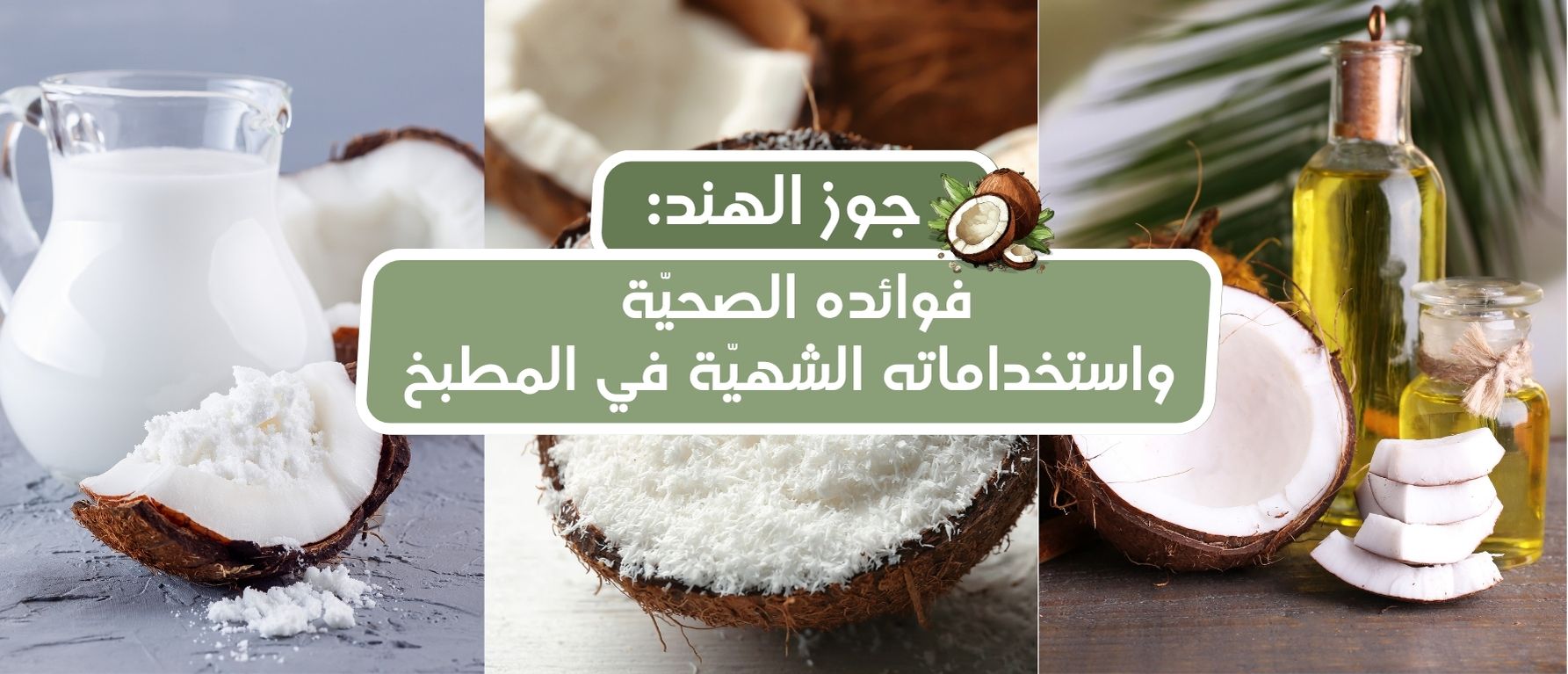جوز الهند: فوائده الصحيّة واستخداماته الشهية في المطبخ العربي والعالمي