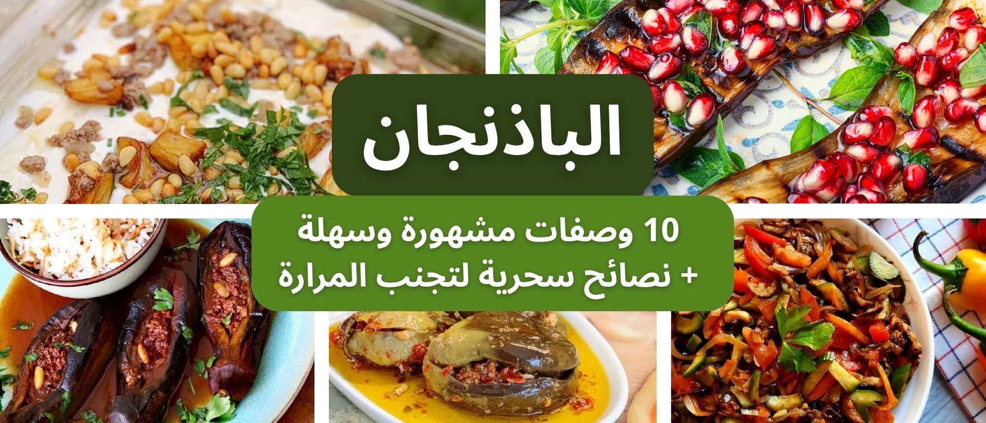 الباذنجان: 10 وصفات مشهورة وسهلة ونصائح سحرية لتجنب المرارة