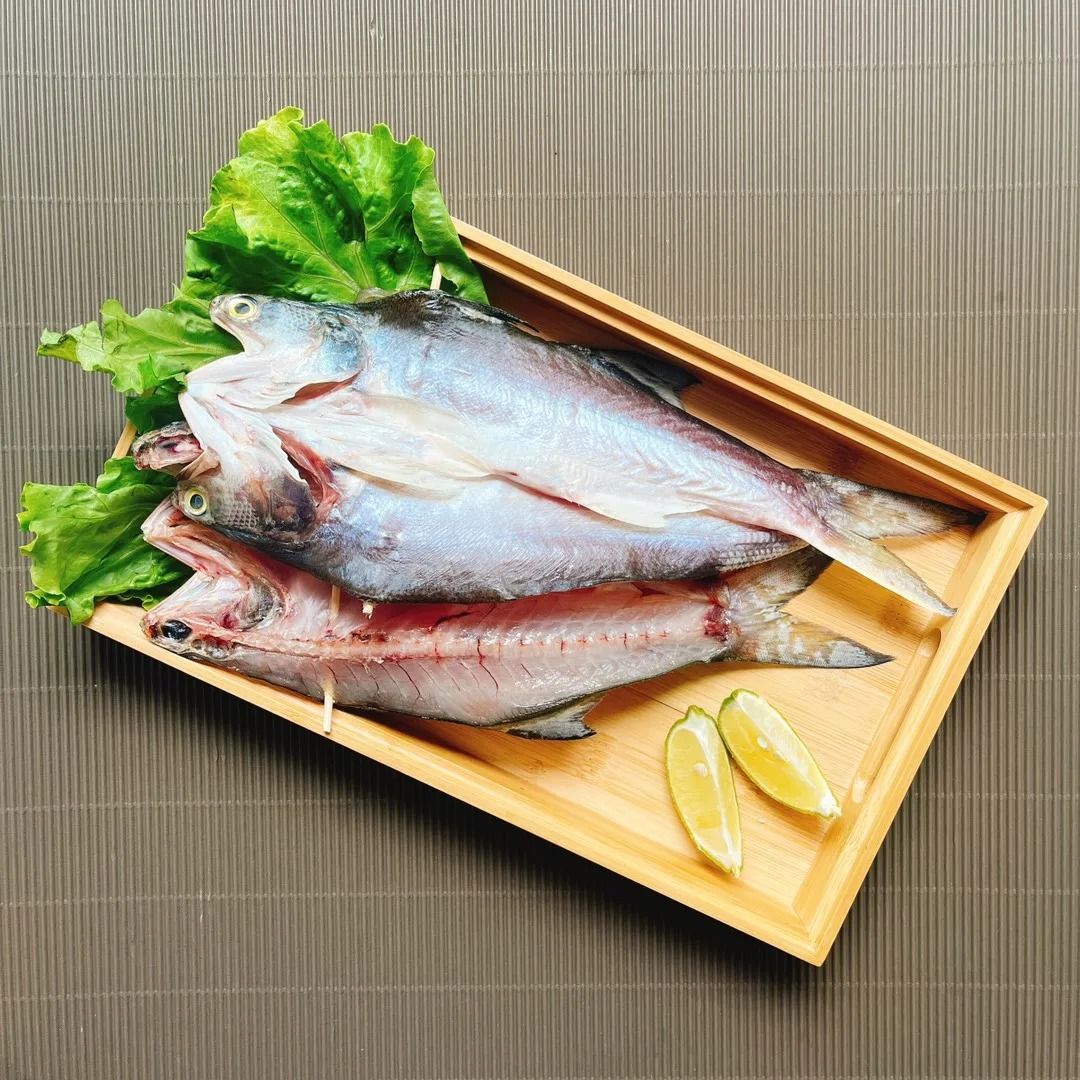 台灣第一魚「午仔魚」5 種神級吃法！掌握這招，煎魚不破皮