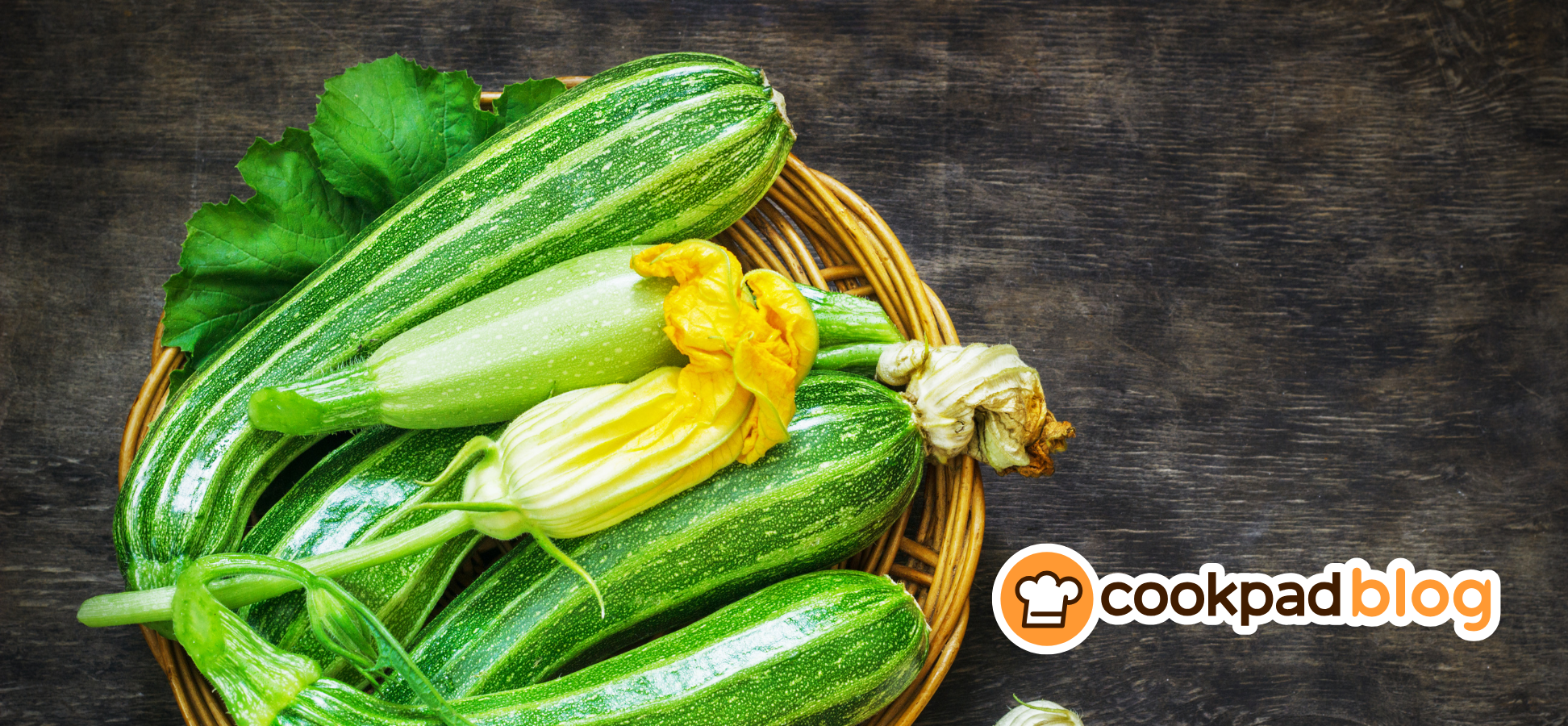 All about Zucchini: make the most of this versatile summer squash 🥒