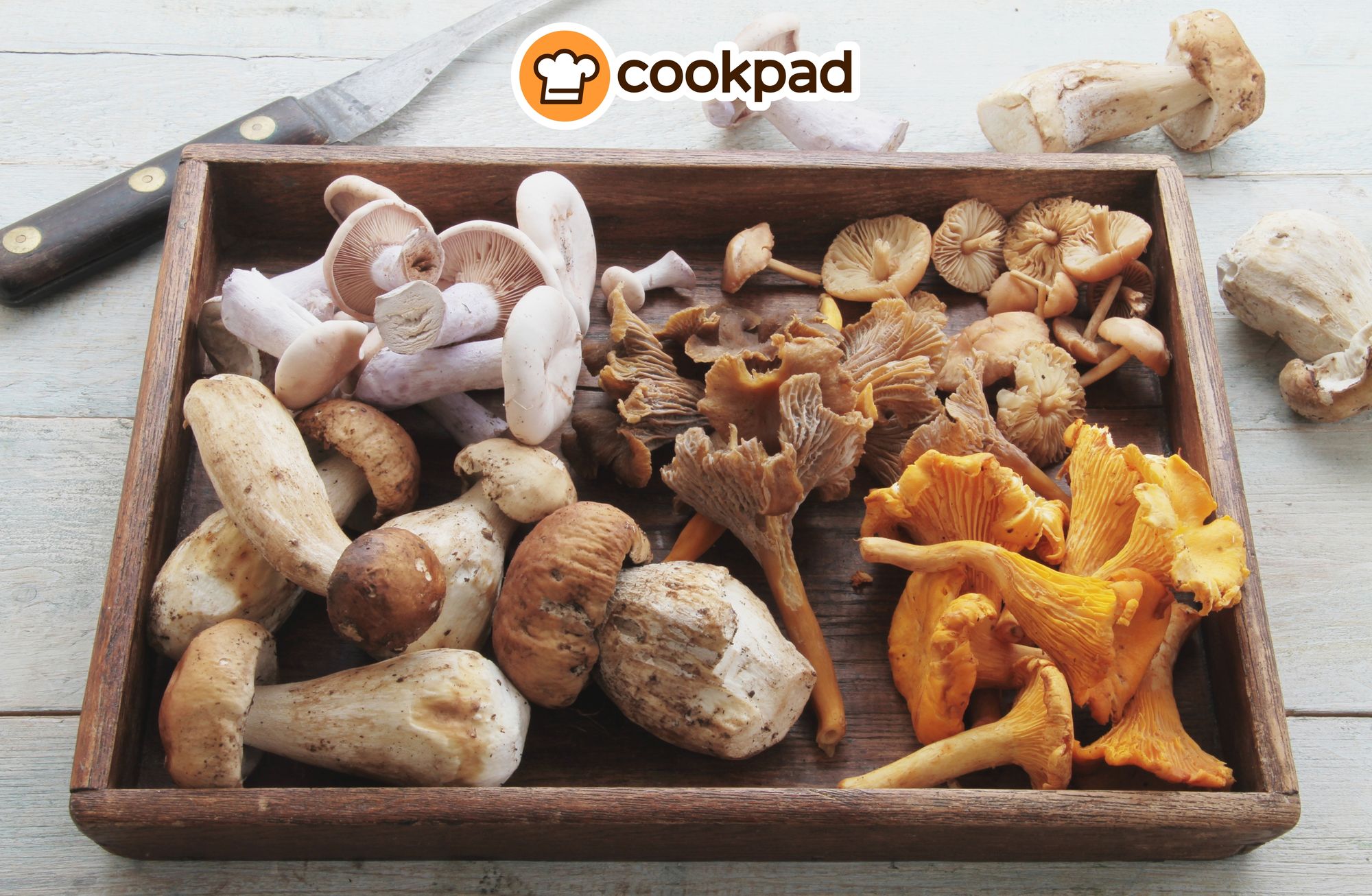Guide to Wild Mushrooms: Chanterelle, Puffball & More