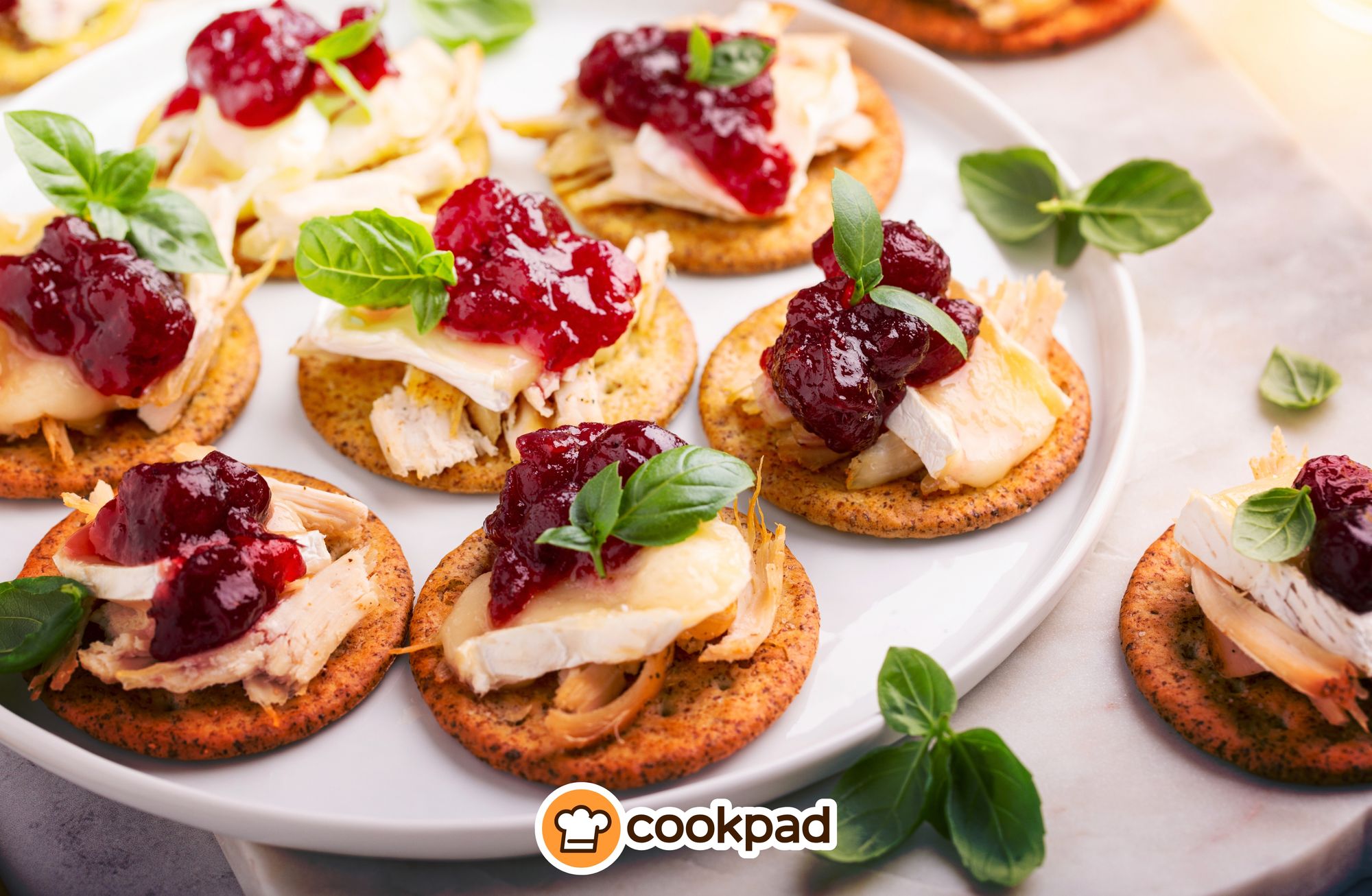 Thanksgiving Appetizers: Festive Ideas to Start the Feast