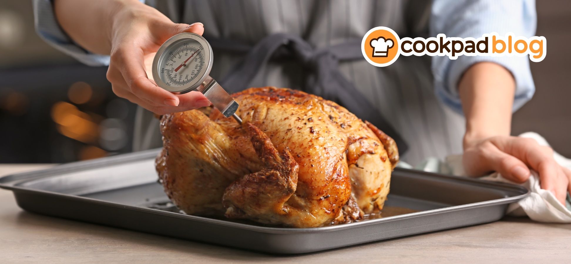 How to cook the best Holiday Turkey 🦃