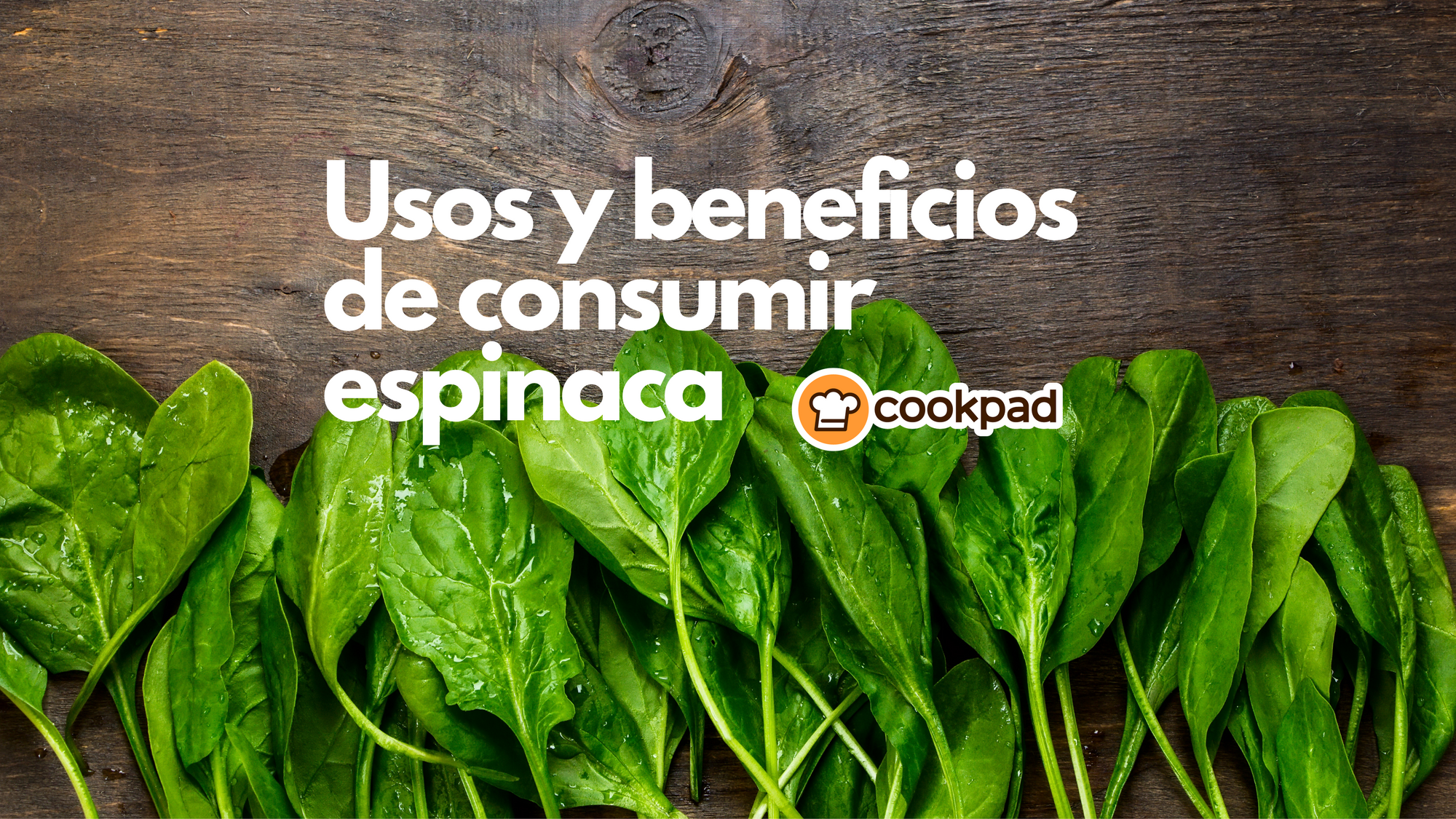 Cítricos en Uruguay: sabor, frescura y mil usos