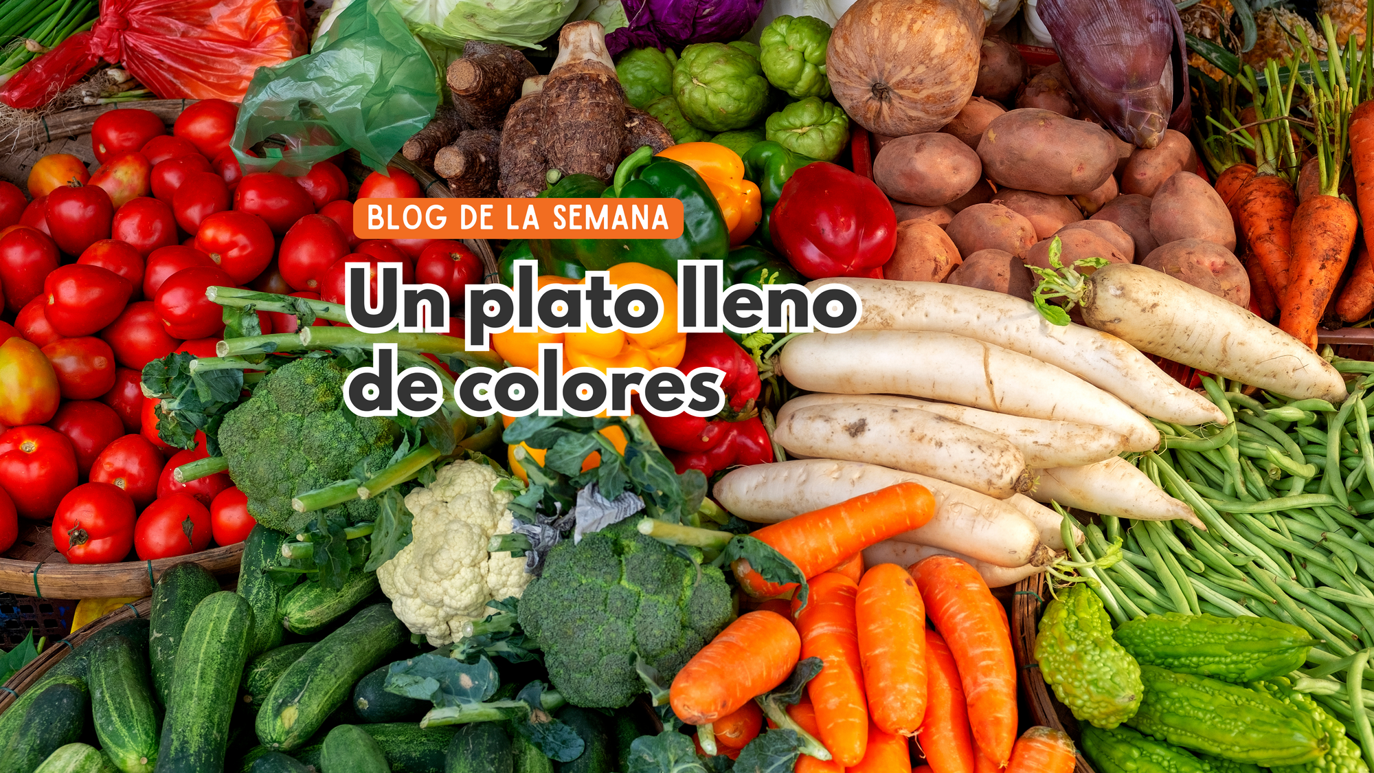 Verduras en la cocina uruguaya: recetas saludables y clásicas