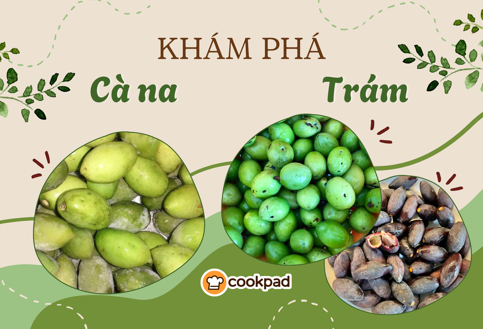 Cà na có phải là quả trám không? Sự thật thú vị về cà na và quả trám