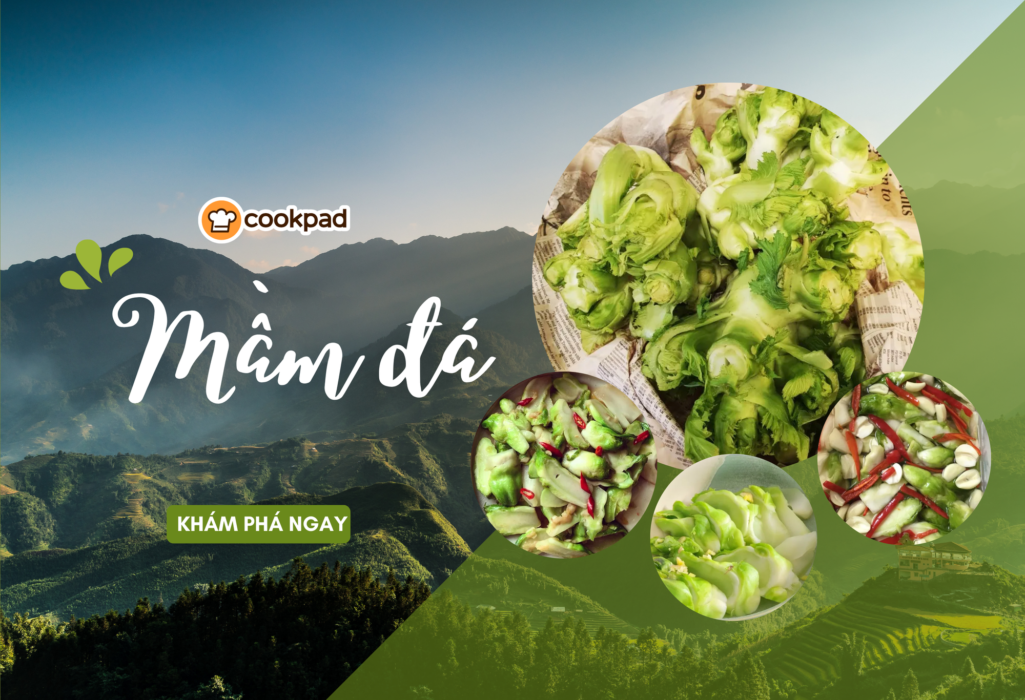 Khám phá loại rau được người miền núi gọi là “lộc trời ban” mỗi mùa đông, làm món gì cũng ngon