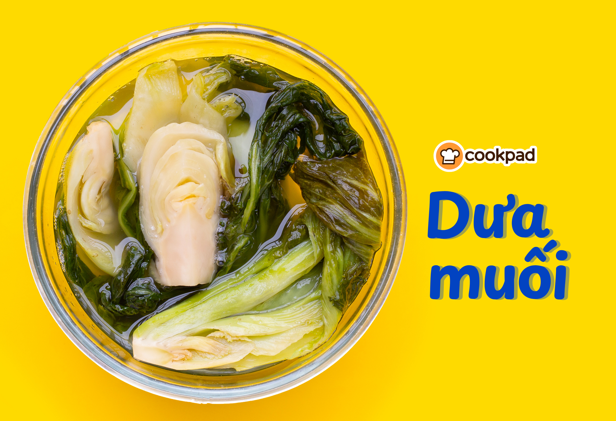 Cách muối dưa giòn ngon cho bữa cơm tròn vị